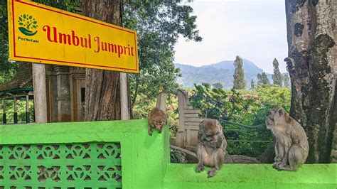 Jelajahi Keindahan Wisata Alam Asli di Jumprit, Destinasi Impian Anda!